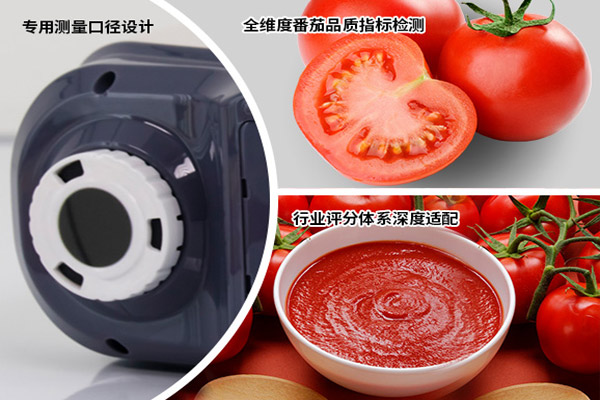 YS4582番茄酱大口径测色仪.jpg
